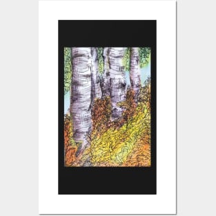 Birch Trees Posters and Art